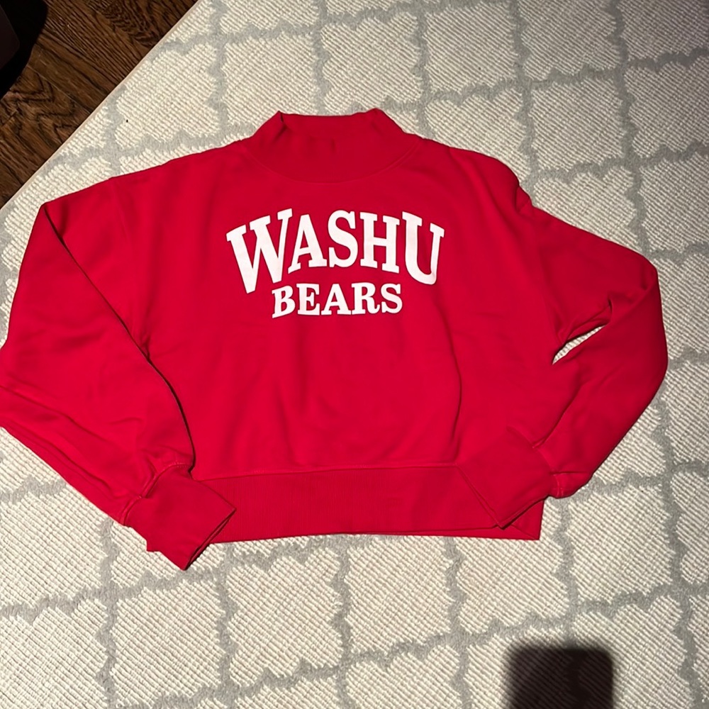 WashU sweatshirt